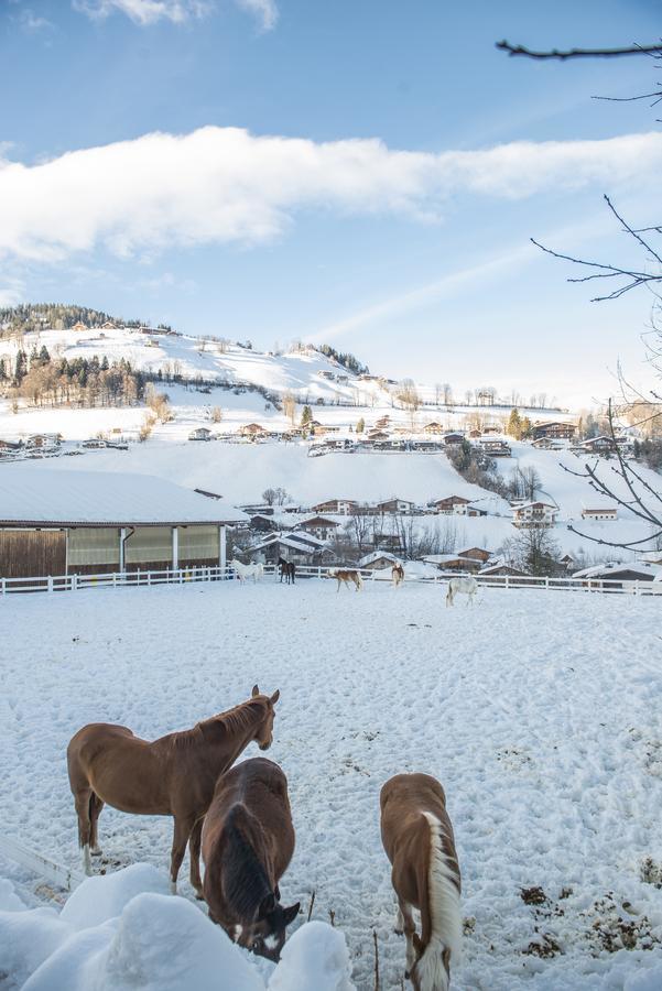Hotel & Alpin Lodge Der Wastlhof Niederau Eksteriør bilde